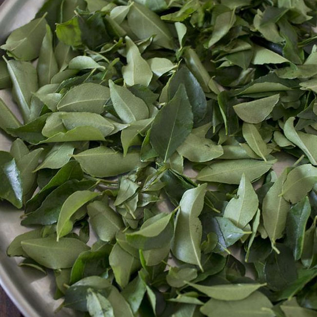 Fresh Curry Leaves