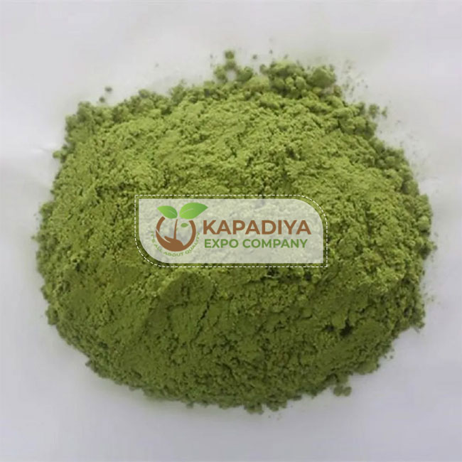 Alfalfa Powder