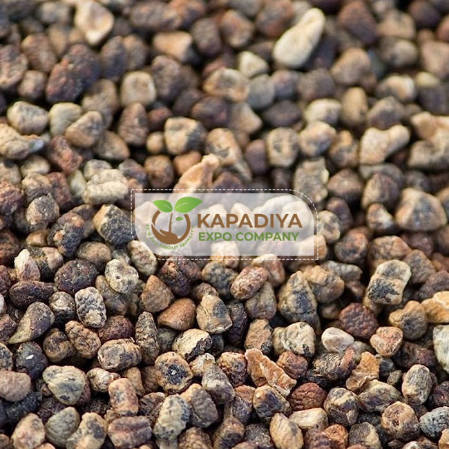 Cardamom Seed