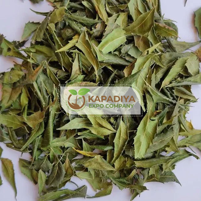 Dry Neem Leaves