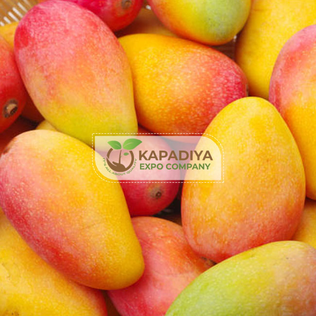 Fresh Mangoes