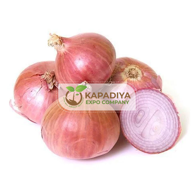 Fresh Pink Onion​ - Kapadiya Expo Company
