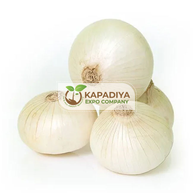 Fresh White Onion - Kapadiya Expo Company