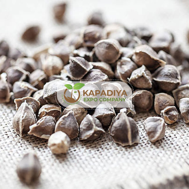 Moringa Seed