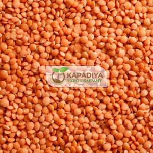 Split Lentils Seeds