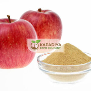 Spray Dried Apple Powder