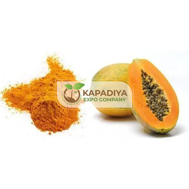 Spray Dried Papaya Powder