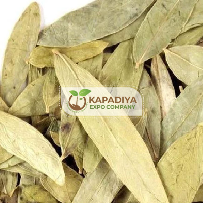 Senna Dried Leaves