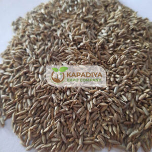 Europ Cumin Seed