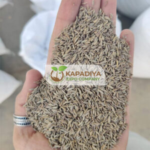 Sona Cumin Seed